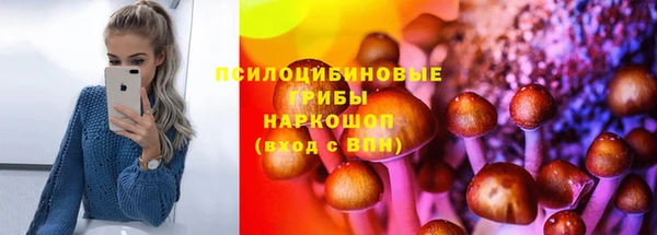 хмурый Богданович