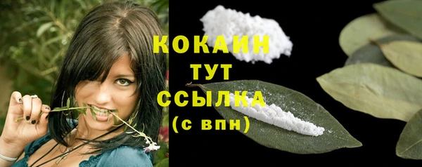 гашик Бородино