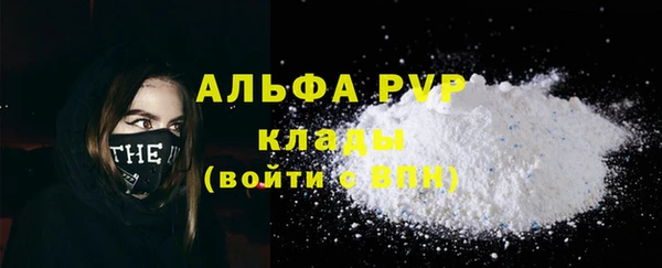 гашик Бородино
