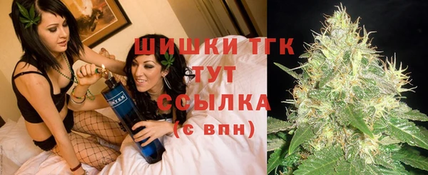 Альфа ПВП Богородицк