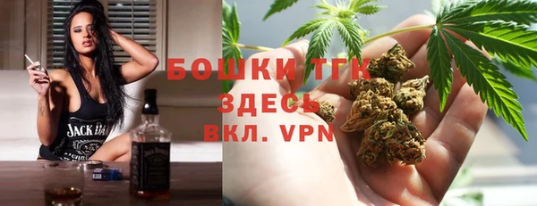 гашик Бородино