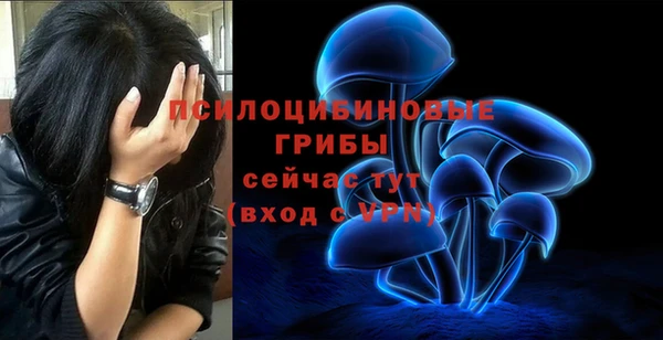 Альфа ПВП Богородицк