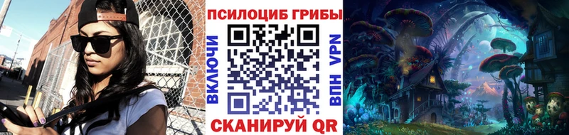 Псилоцибиновые грибы Cubensis  Кашин 